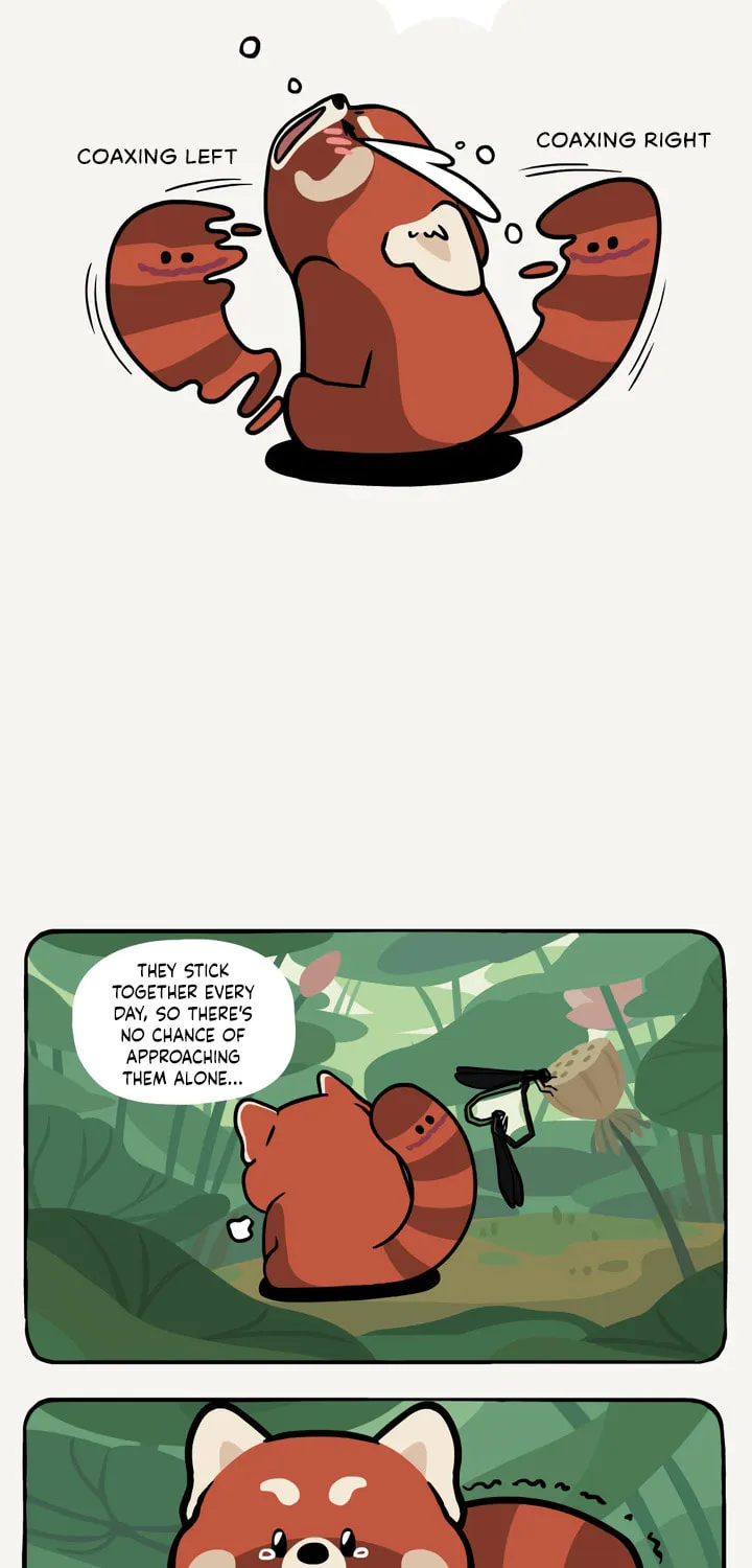Ramboo and Panboo (Colored) Chapter 27 page 8 - 