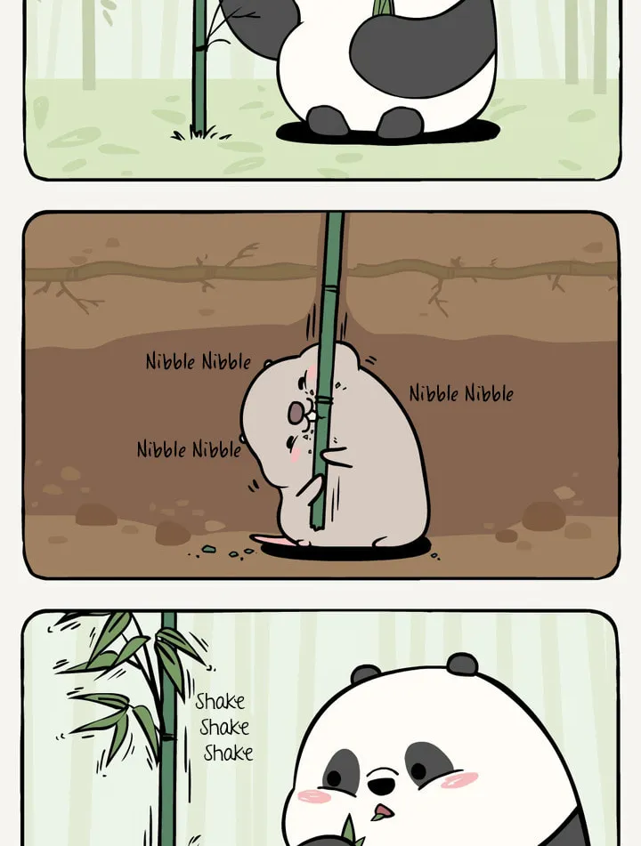 Read Ramboo and Panboo (Colored) chapter 5 image 3 on Lezhin