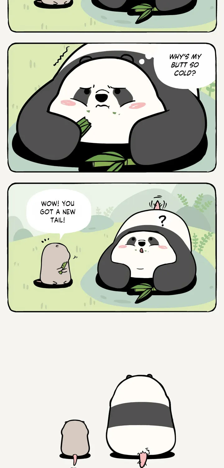 Read Ramboo and Panboo (Colored) chapter 7 image 3 on Lezhin
