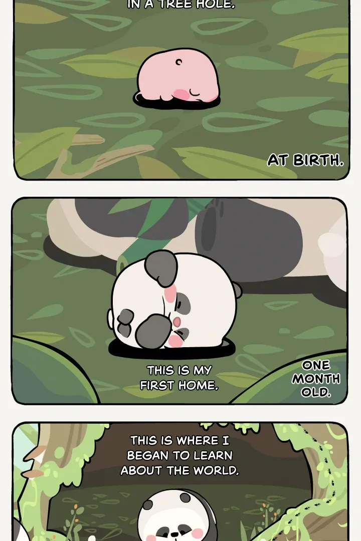 Read Ramboo and Panboo chapter 11 image 2 on Lezhin