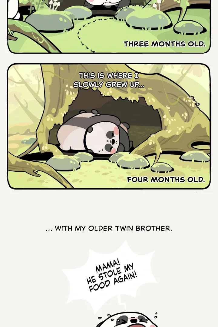 Read Ramboo and Panboo chapter 11 image 3 on Lezhin