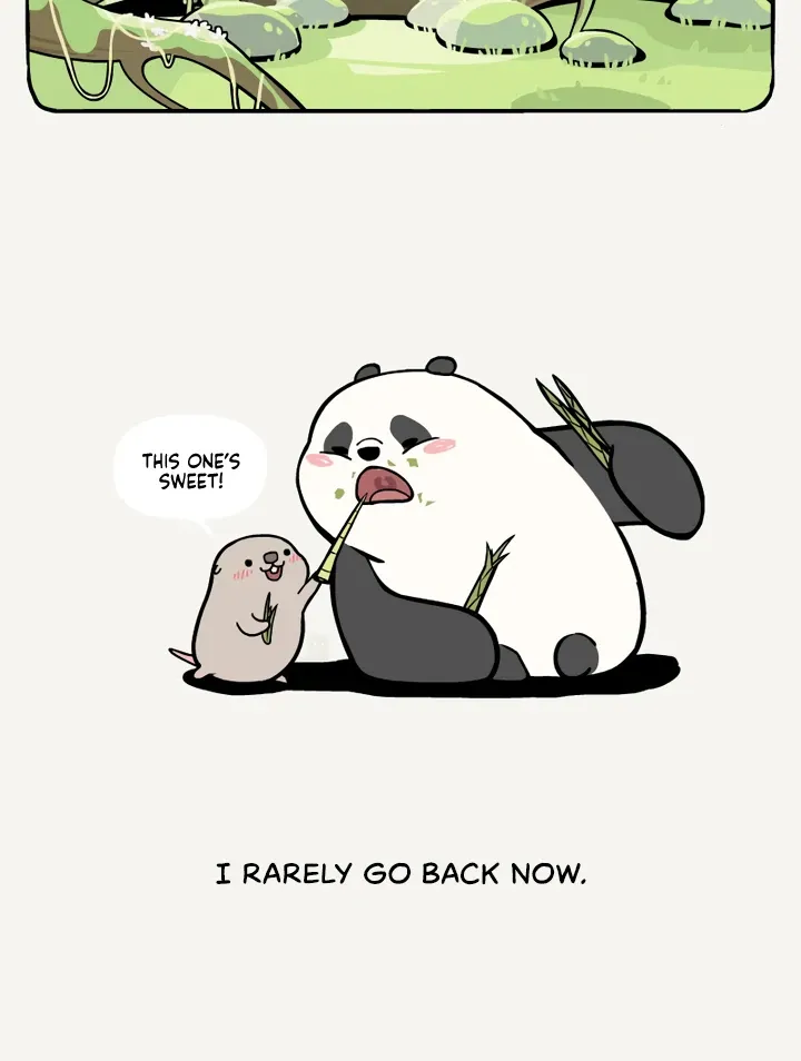 Read Ramboo and Panboo chapter 11 image 6 on Lezhin