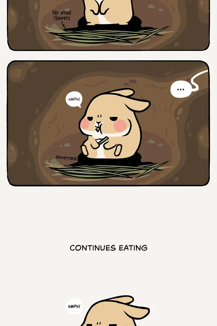 Read Ramboo and Panboo chapter 14 image 4 on Lezhin