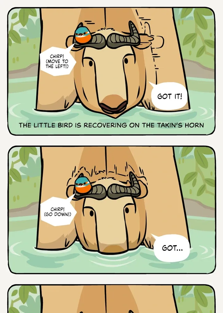 Read Ramboo and Panboo chapter 18 image 8 on Lezhin