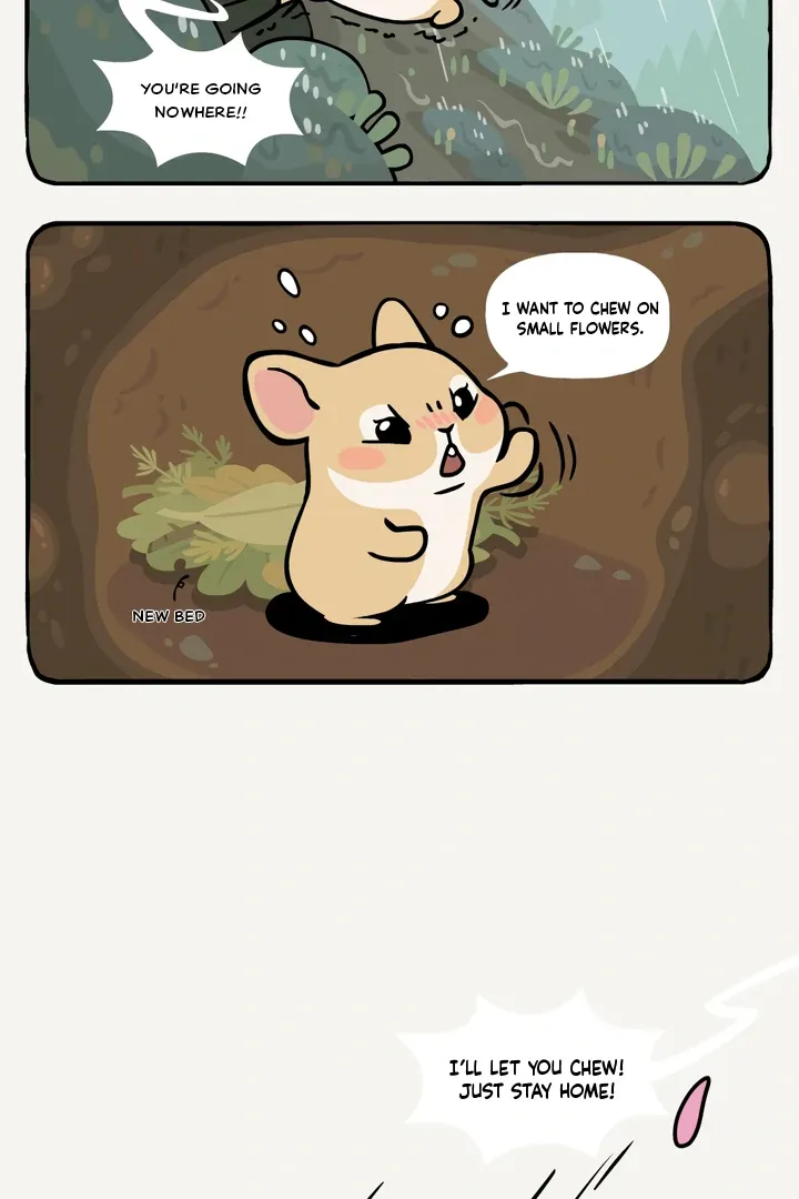 Read Ramboo and Panboo chapter 21 image 4 on Lezhin