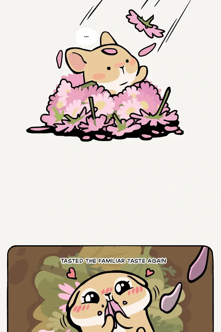 Read Ramboo and Panboo chapter 21 image 5 on Lezhin
