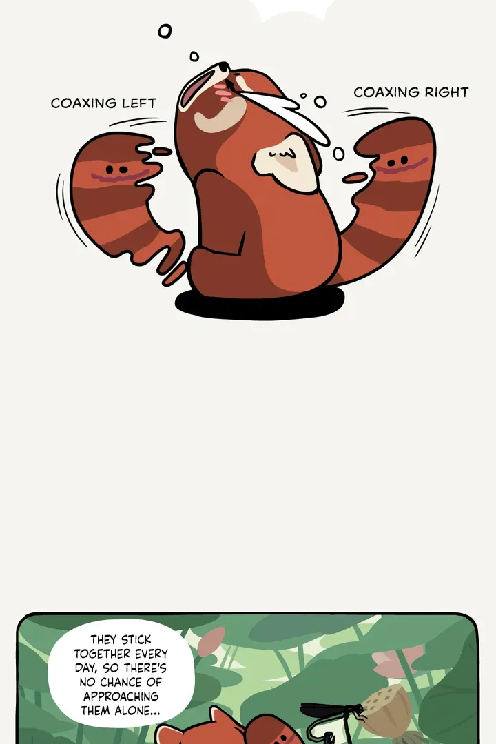 Read Ramboo and Panboo chapter 27 image 10 on Lezhin