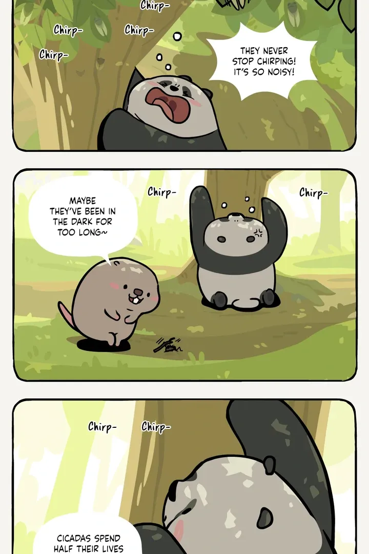 Read Ramboo and Panboo chapter 28 image 5 on Lezhin