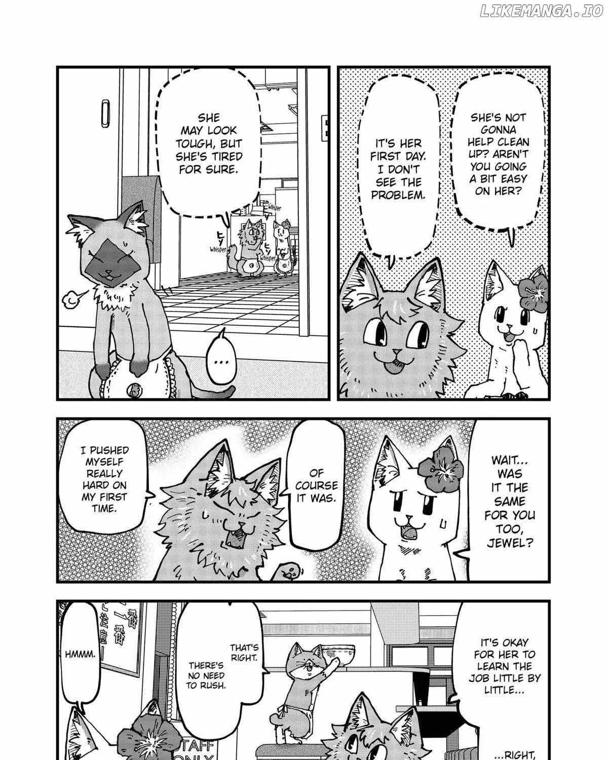 Read Ramen Aka Neko chapter 111 image 16 on Lezhin