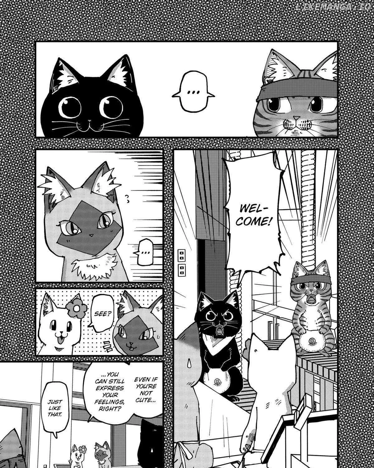 Read Ramen Aka Neko chapter 116 image 16 on Lezhin
