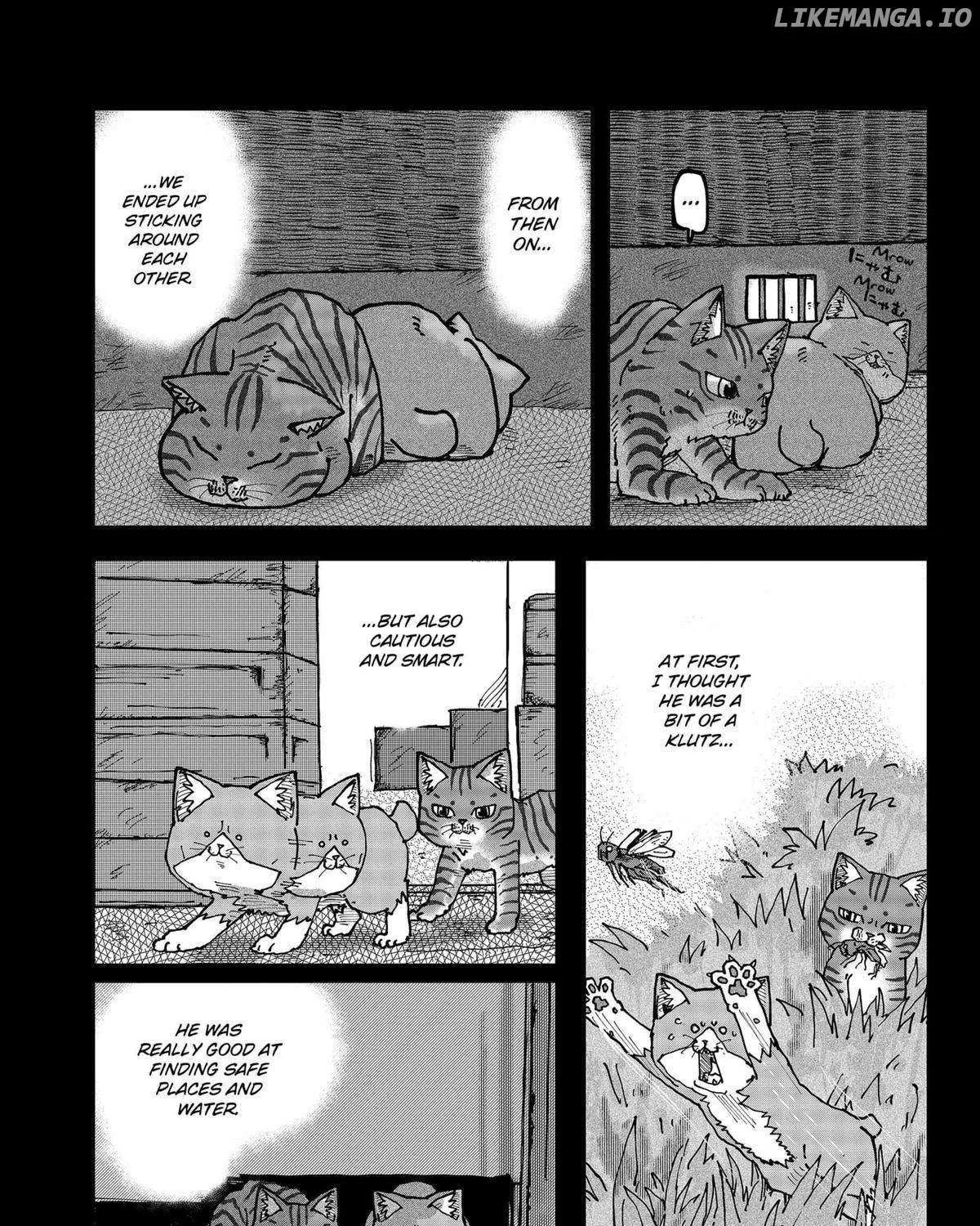 Read Ramen Aka Neko chapter 117 image 19 on Lezhin