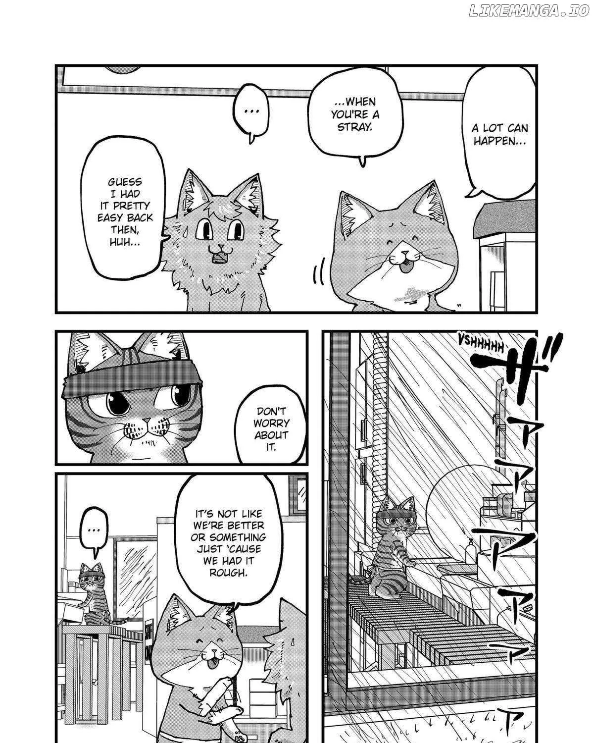 Read Ramen Aka Neko chapter 117 image 9 on Lezhin