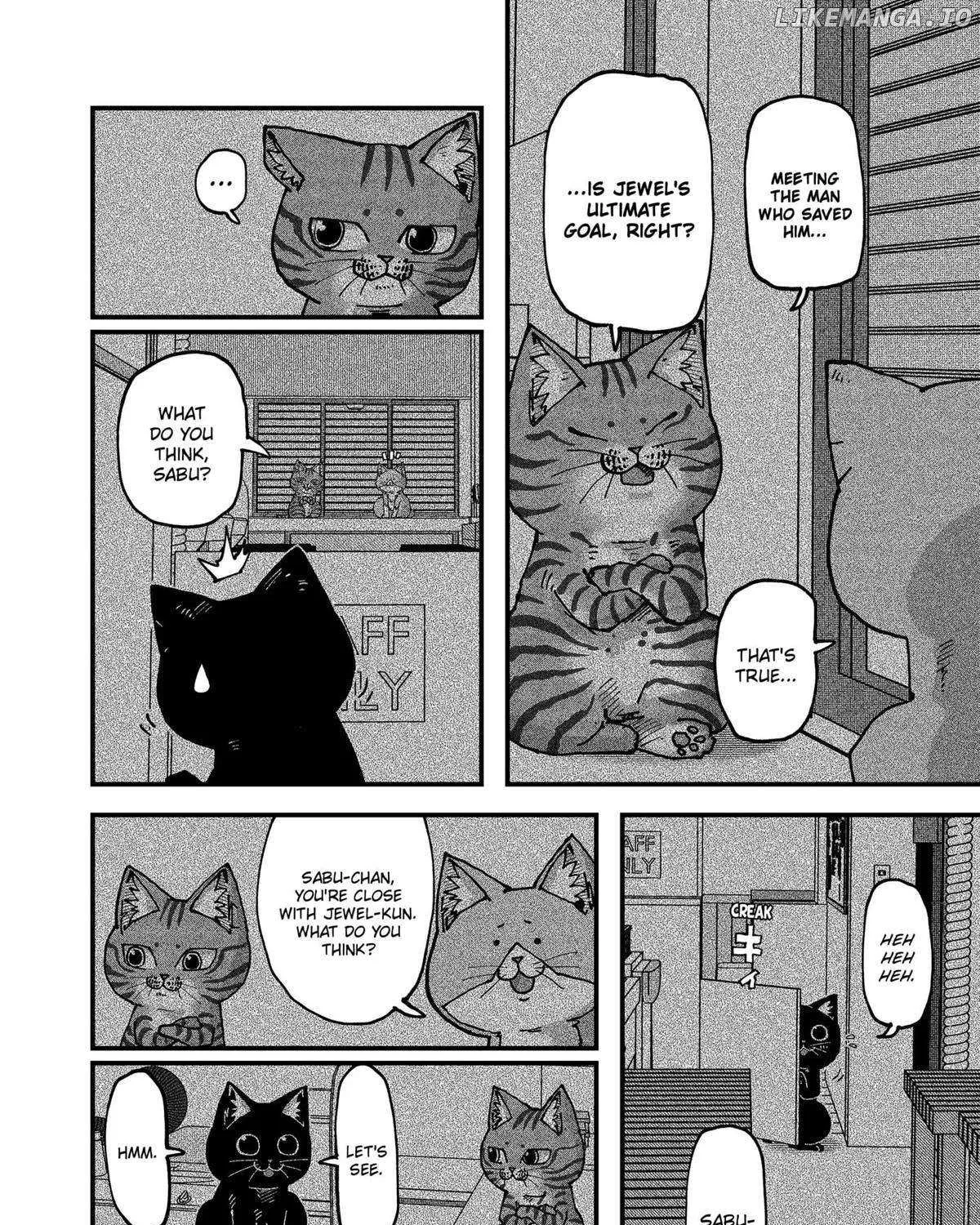Read Ramen Aka Neko chapter 119 image 11 on Lezhin