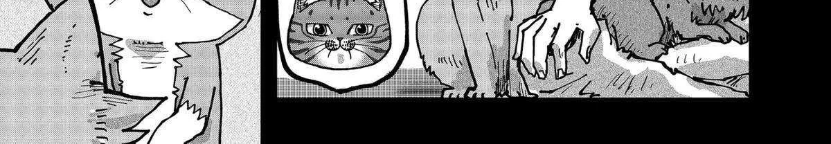 Read Ramen Aka Neko chapter 121 image 17 on Lezhin