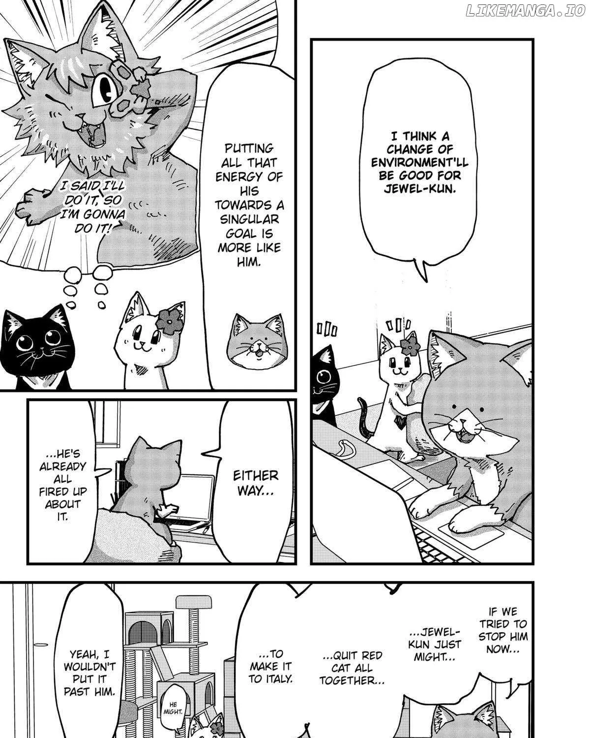 Read Ramen Aka Neko chapter 127 image 12 on Lezhin