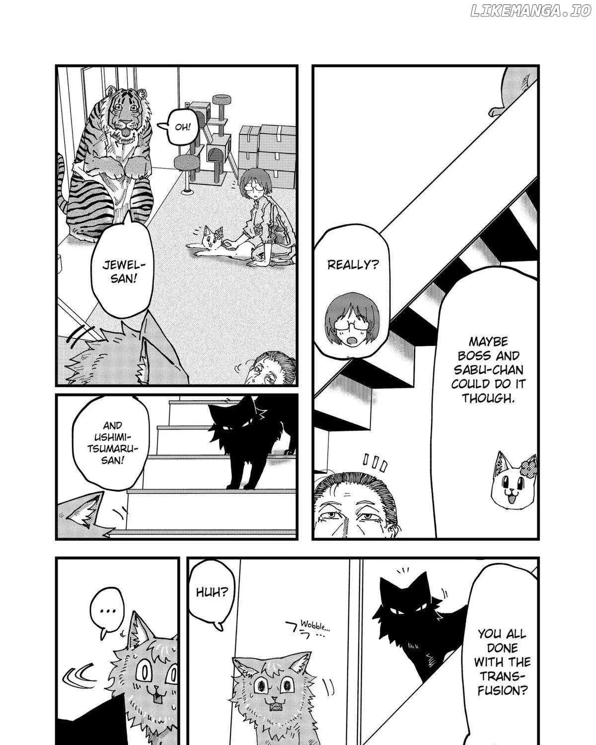 Read Ramen Aka Neko chapter 128 image 26 on Lezhin