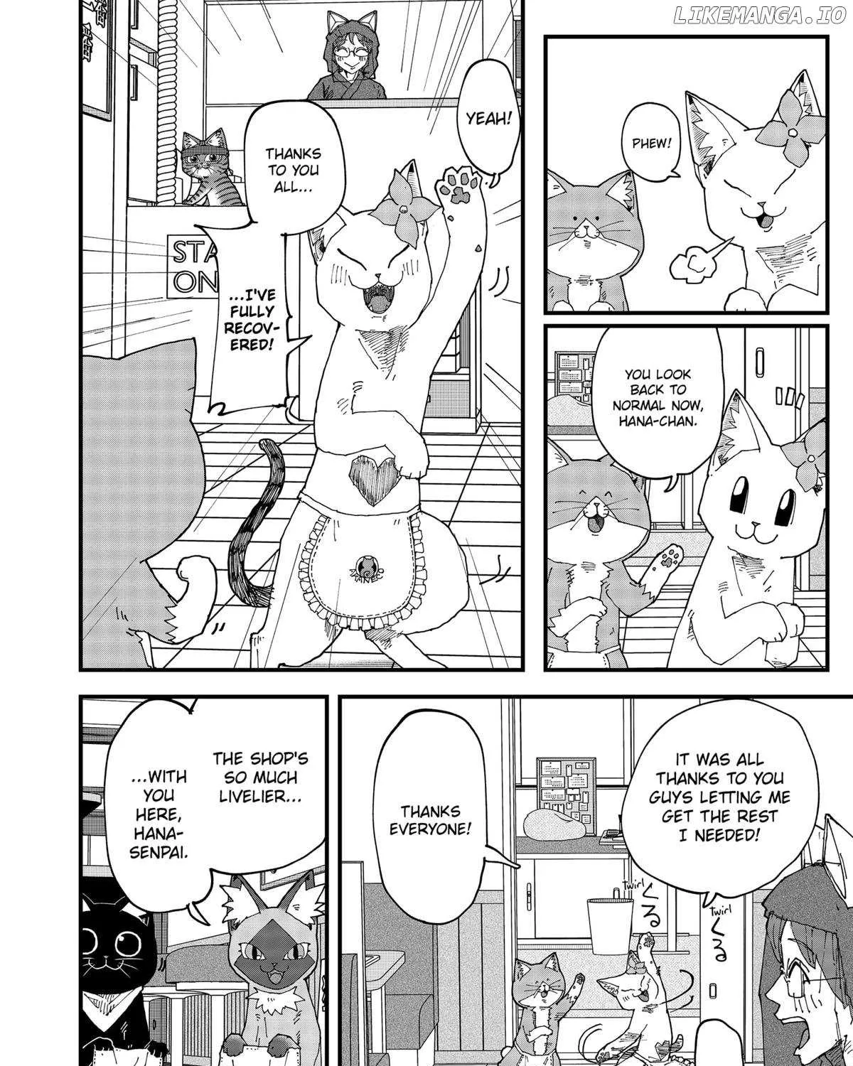 Read Ramen Aka Neko chapter 143 image 2 on Lezhin