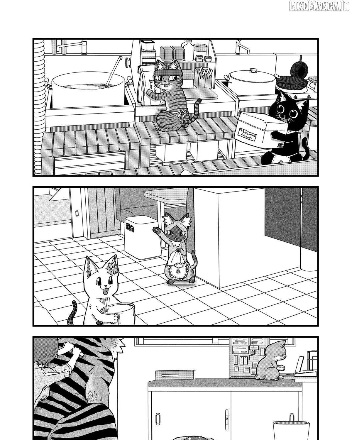 Read Ramen Aka Neko chapter 165 image 13 on Lezhin