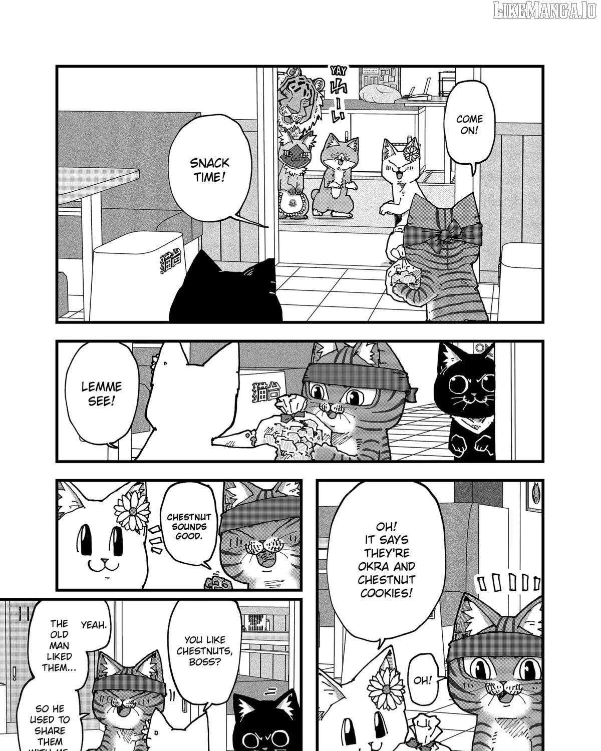 Read Ramen Aka Neko chapter 169 image 20 on Lezhin