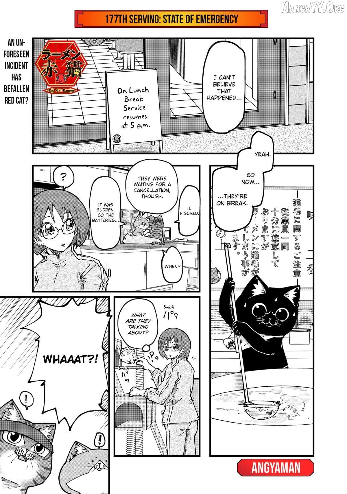 Ramen Aka Neko Chapter 177 page 2 - 