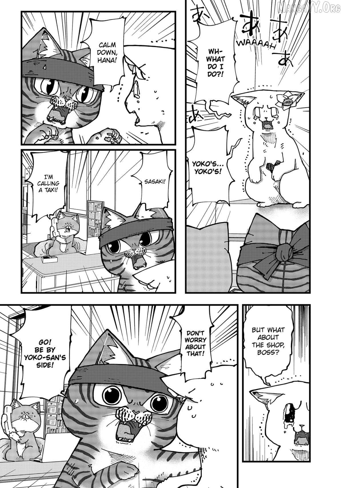 Ramen Aka Neko Chapter 177 page 4 - 