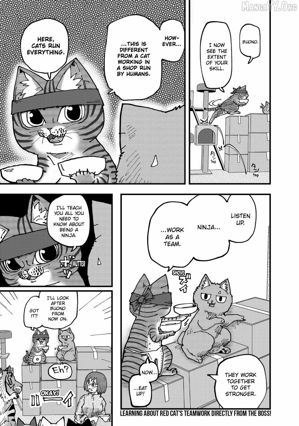Ramen Aka Neko Chapter 183 page 16 - 