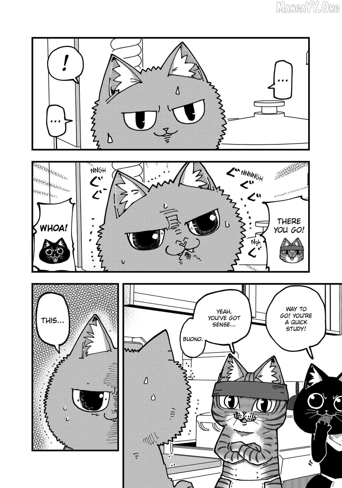 Ramen Aka Neko Chapter 185 page 4 - 