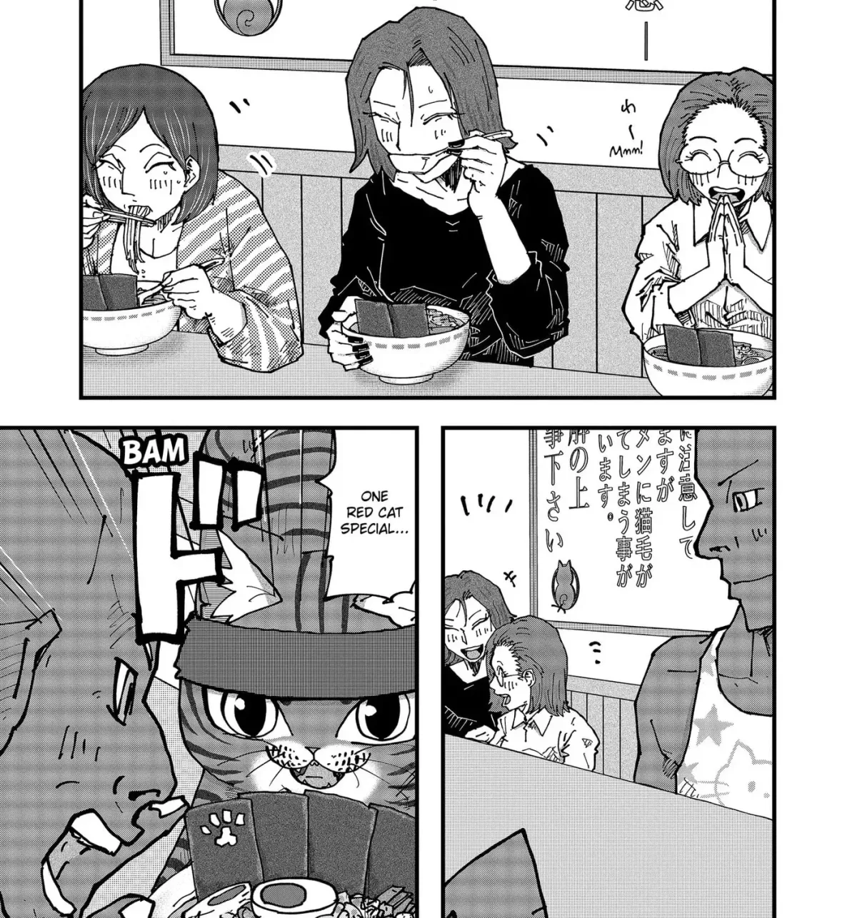 Ramen Aka Neko Chapter 193 page 13 - 