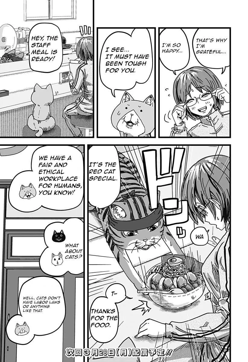 Read Ramen Aka Neko chapter 2 image 17 on Lezhin