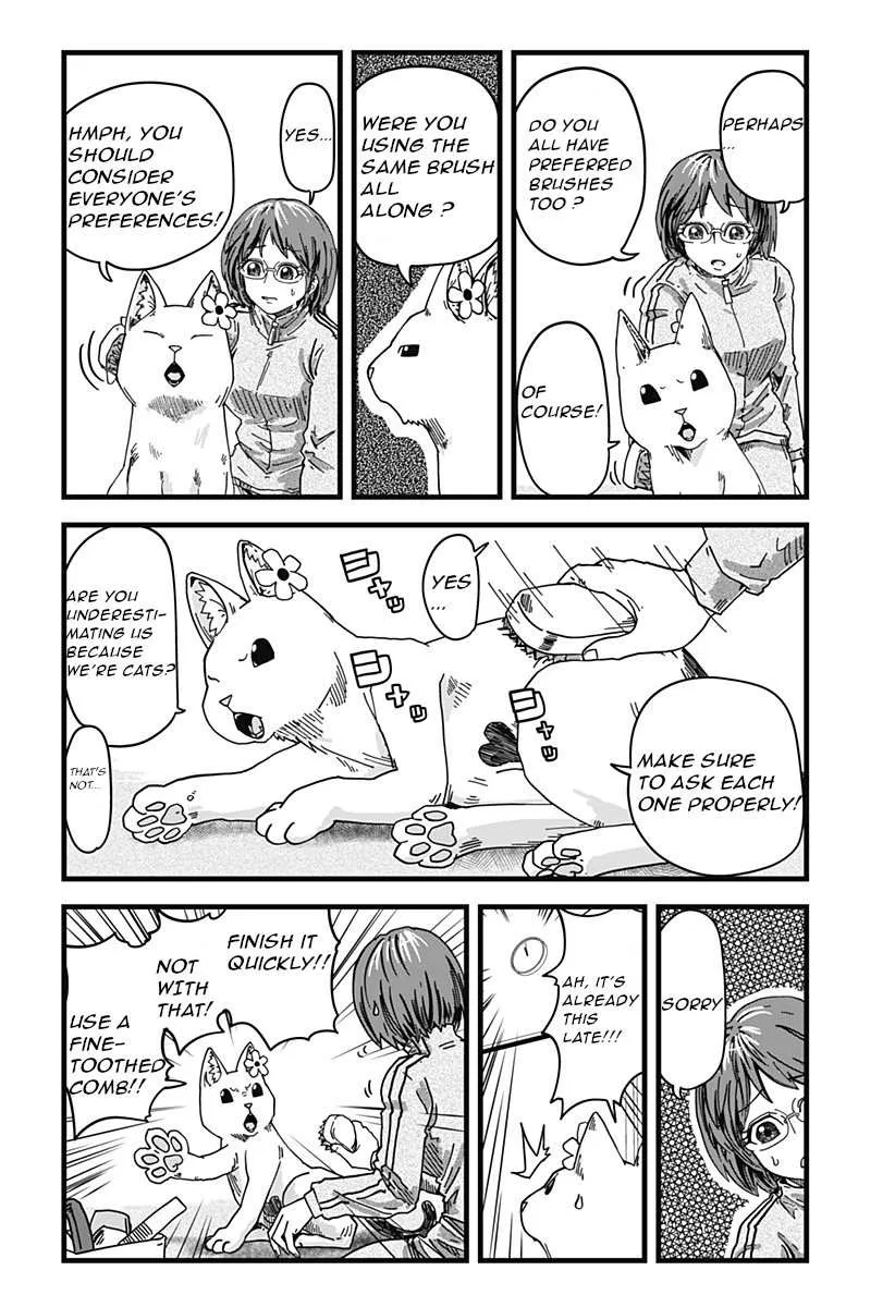 Read Ramen Aka Neko chapter 2 image 8 on Lezhin
