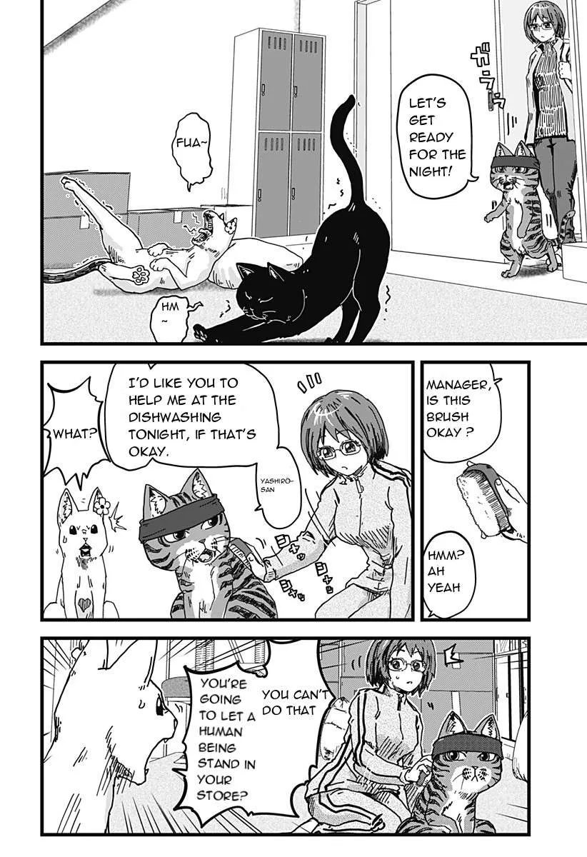 Read Ramen Aka Neko chapter 3 image 1 on Lezhin