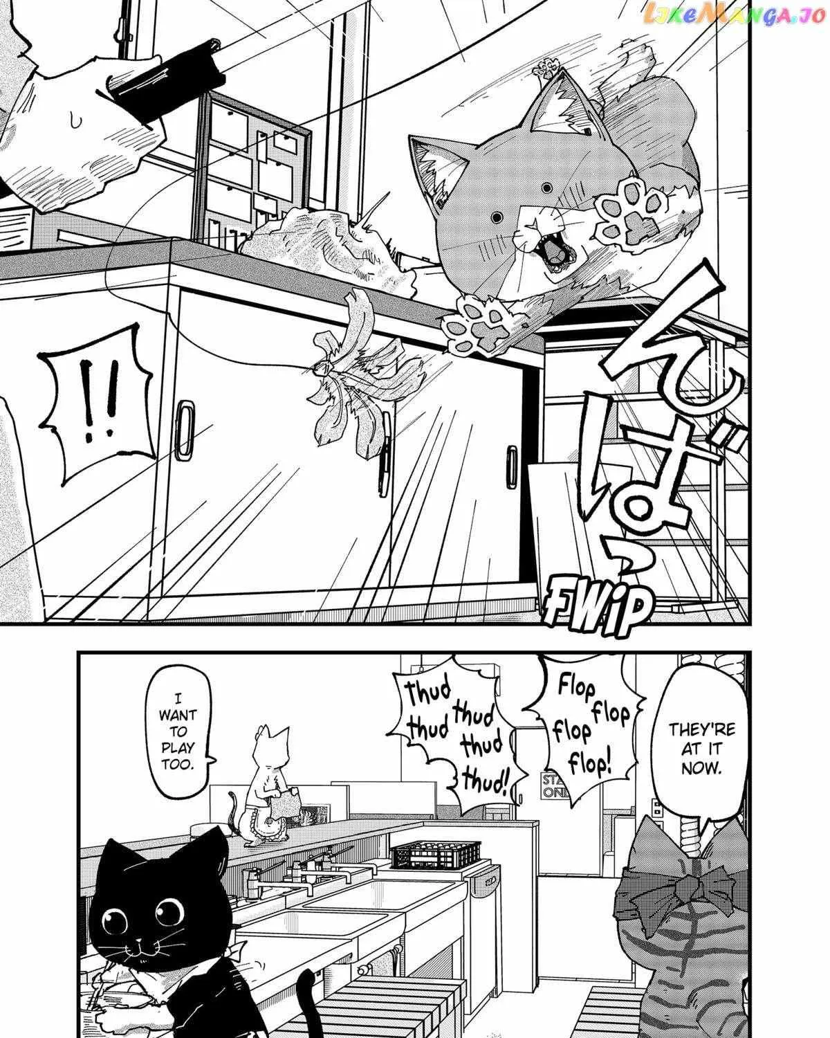 Read Ramen Aka Neko chapter 56 image 25 on Lezhin