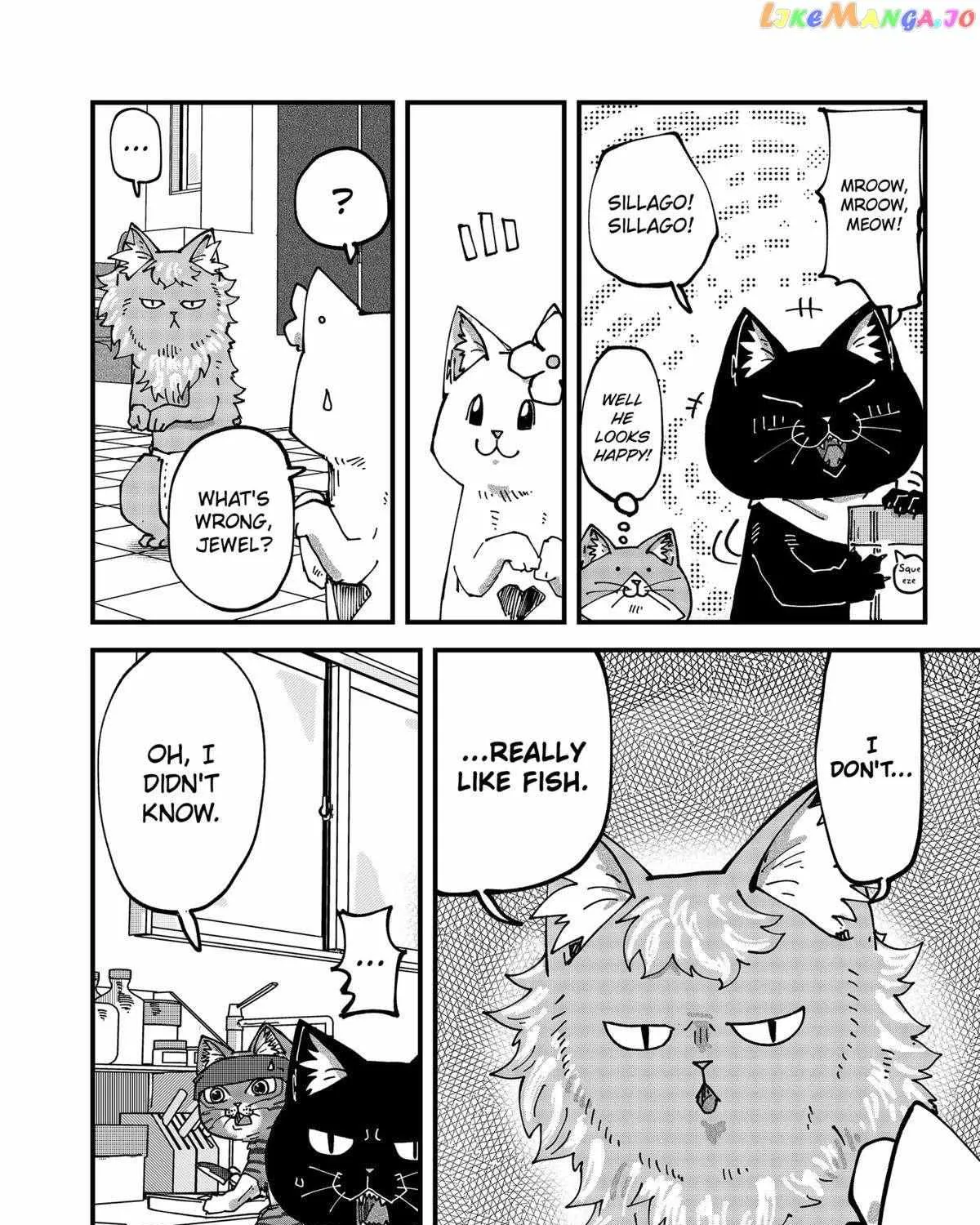 Read Ramen Aka Neko chapter 62 image 11 on Lezhin