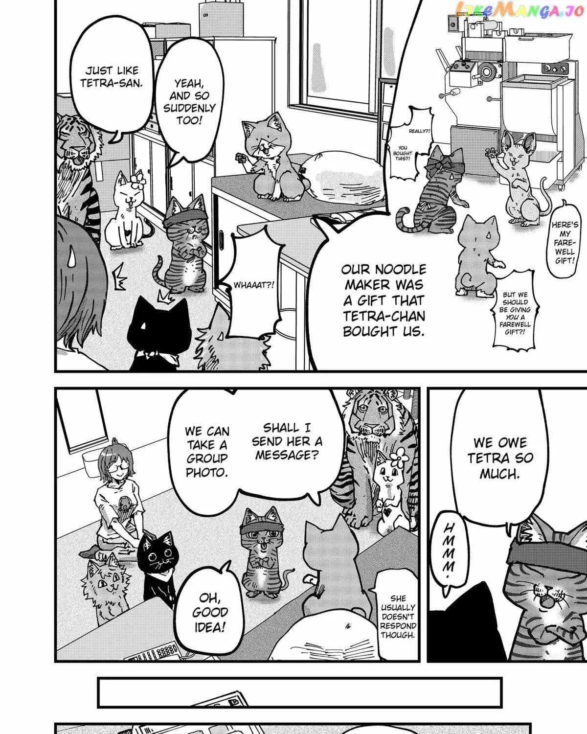 Read Ramen Aka Neko chapter 68 image 27 on Lezhin