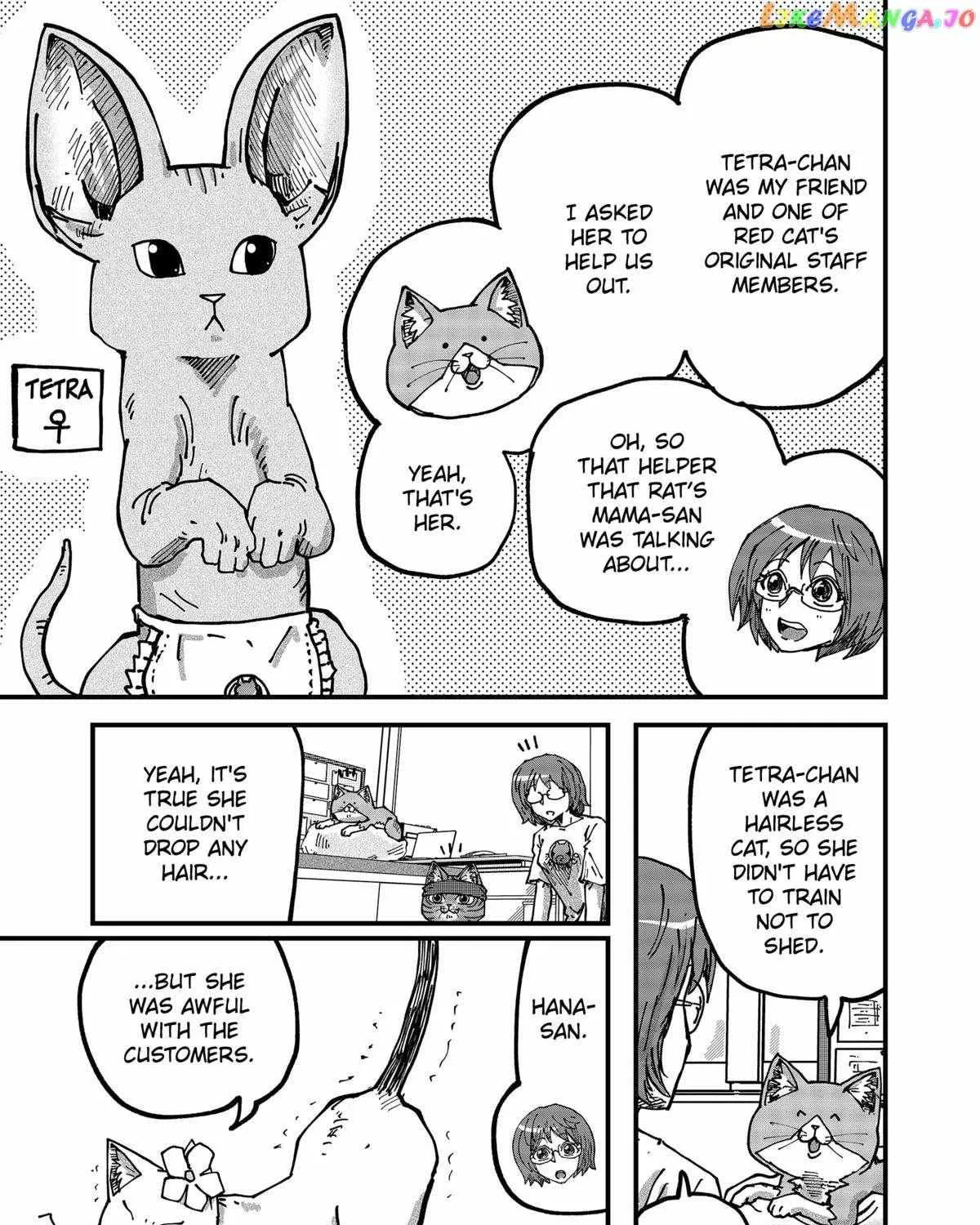 Read Ramen Aka Neko chapter 68 image 9 on Lezhin