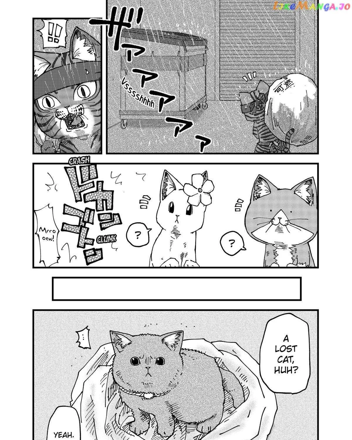 Read Ramen Aka Neko chapter 71 image 5 on Lezhin
