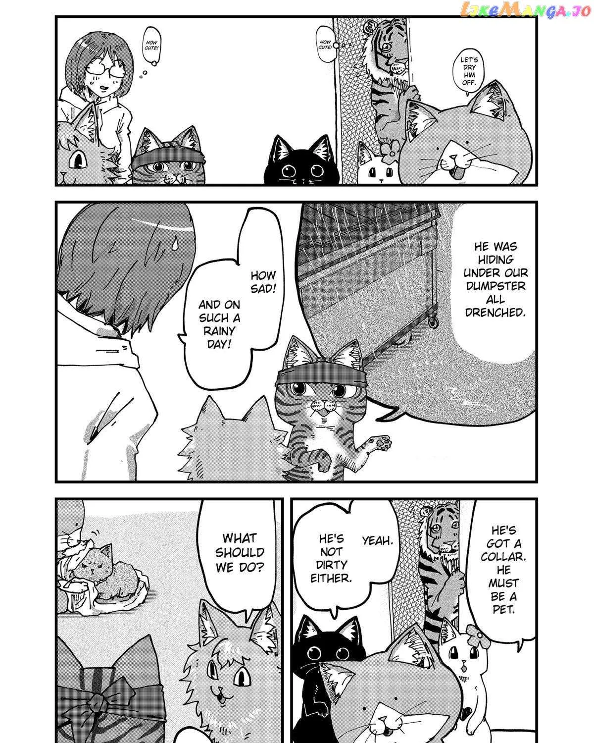 Read Ramen Aka Neko chapter 71 image 7 on Lezhin