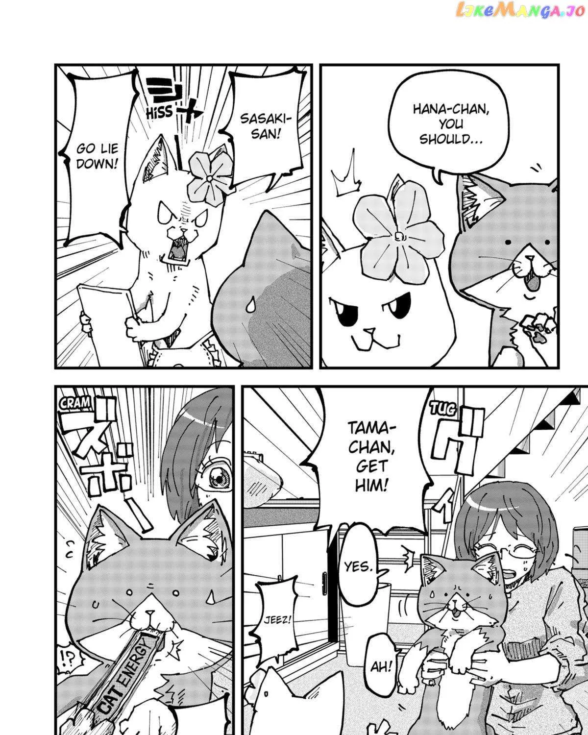 Read Ramen Aka Neko chapter 73 image 23 on Lezhin