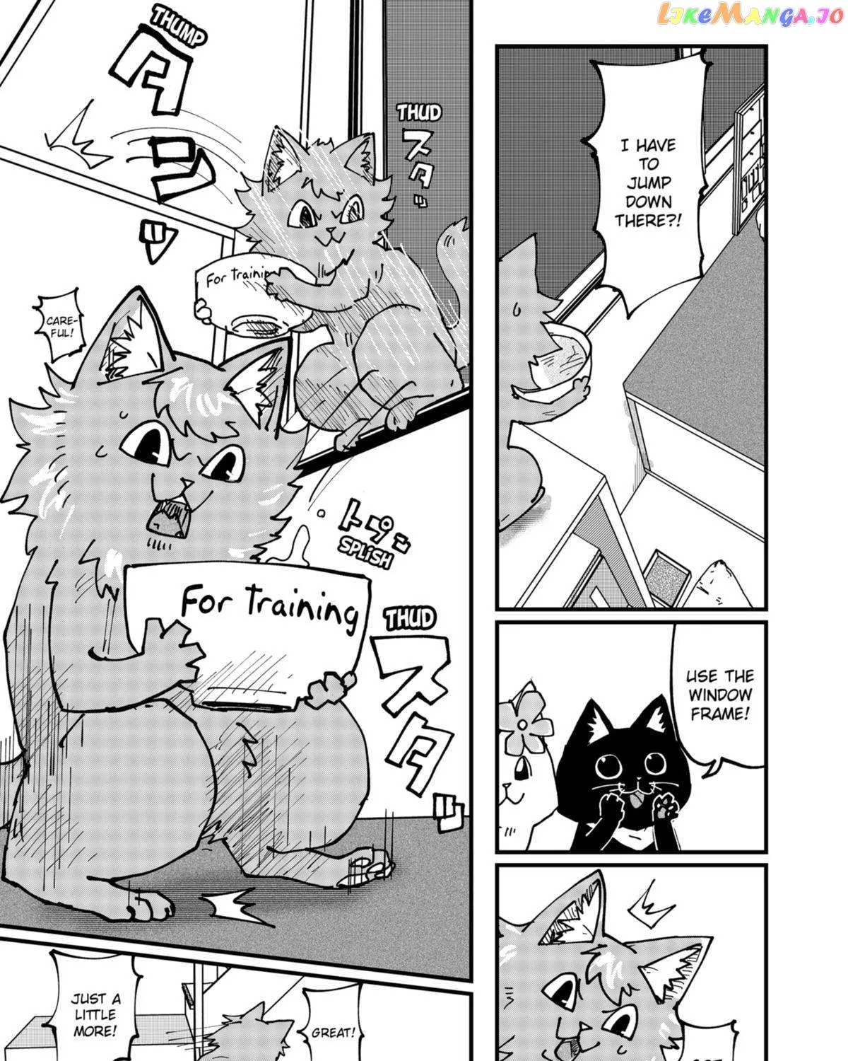 Read Ramen Aka Neko chapter 75 image 24 on Lezhin