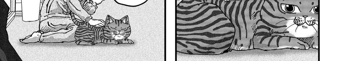 Read Ramen Aka Neko chapter 78 image 14 on Lezhin