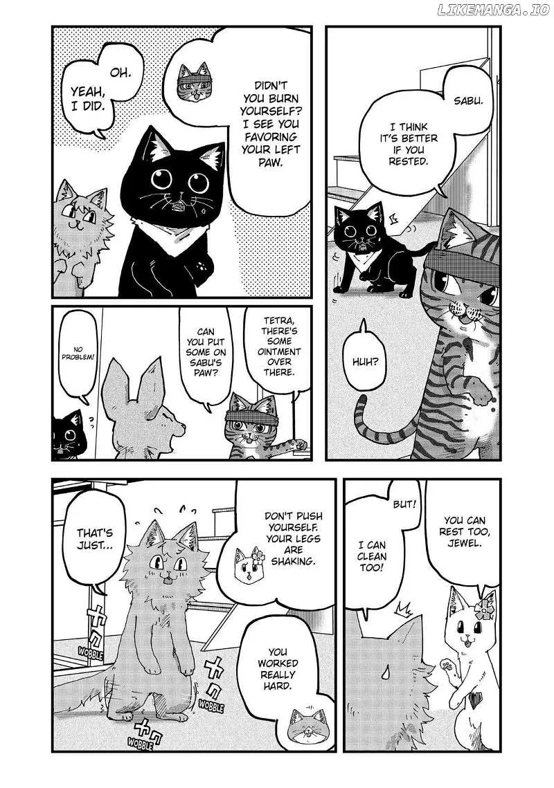 Read Ramen Aka Neko chapter 99 image 7 on Lezhin