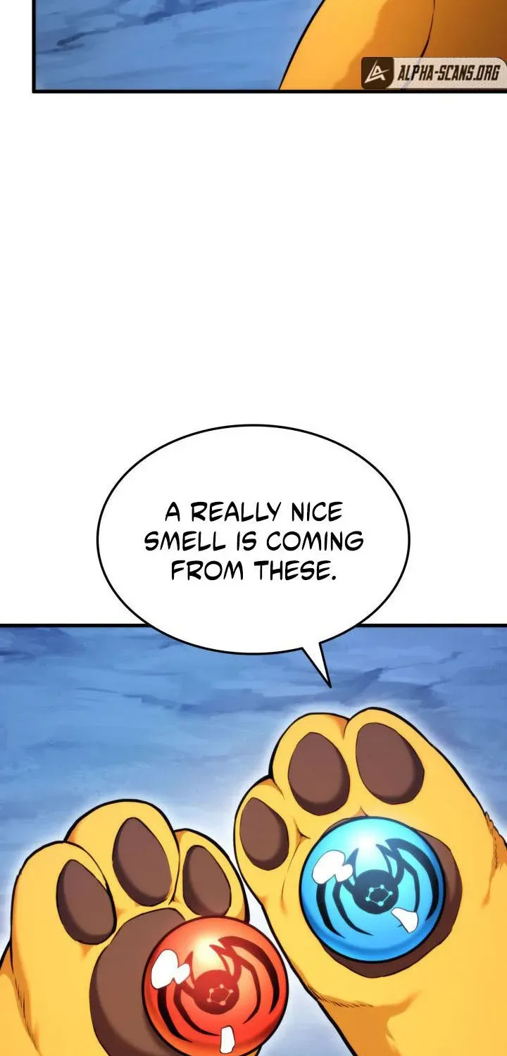 Read Ranker