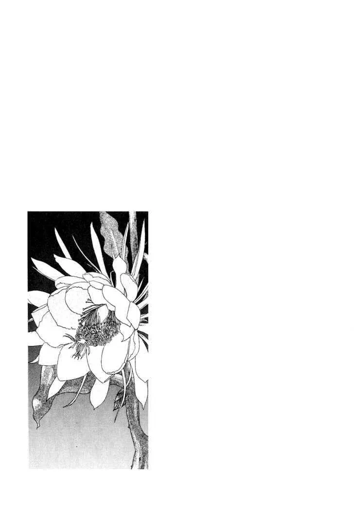 Read Rasen no Kakera chapter 5 image 19 on Lezhin