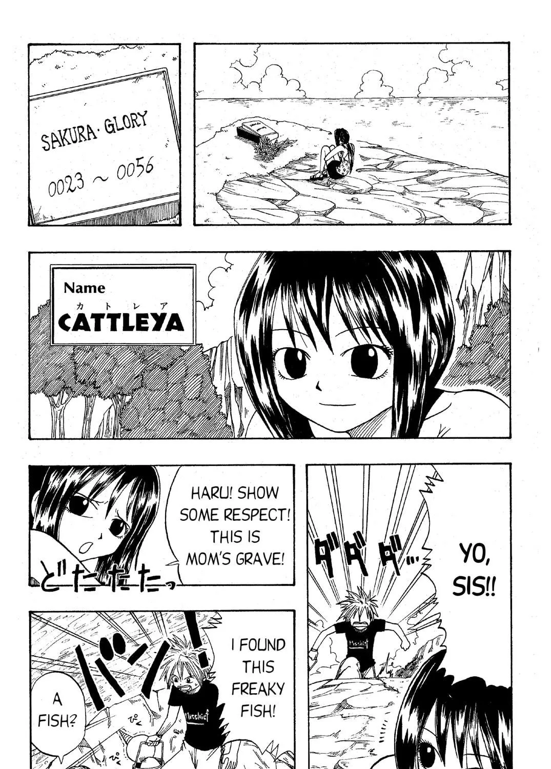 Read Rave Master chapter 1 image 10 on Lezhin