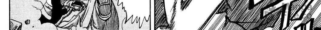 Read Rave Master chapter 173 image 29 on Lezhin