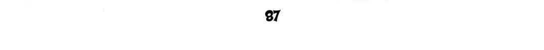 Read Rave Master chapter 177 image 37 on Lezhin
