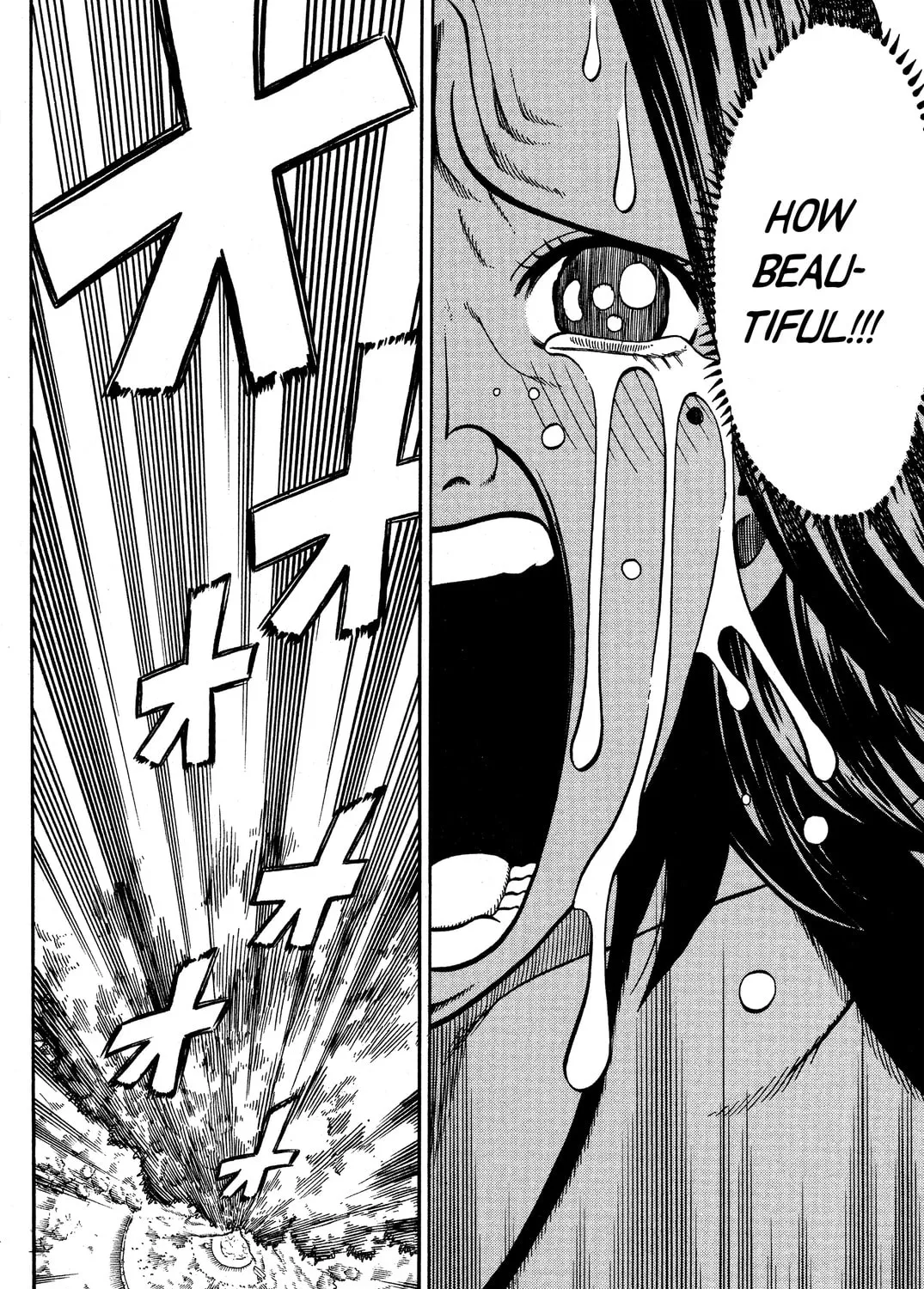 Read Rave Master chapter 184 image 20 on Lezhin
