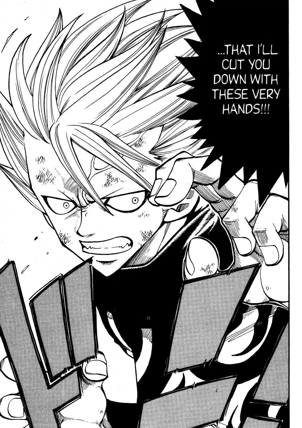 Read Rave Master chapter 222 image 8 on Lezhin