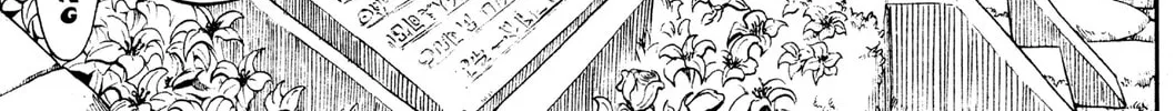 Read Rave Master chapter 237 image 25 on Lezhin