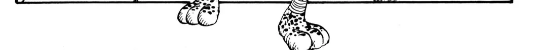 Read Rave Master chapter 237 image 27 on Lezhin